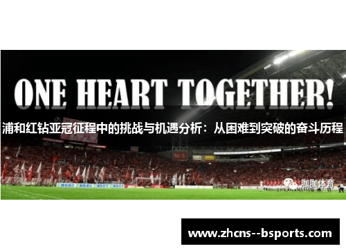 浦和红钻亚冠征程中的挑战与机遇分析：从困难到突破的奋斗历程