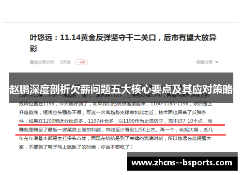 赵鹏深度剖析欠薪问题五大核心要点及其应对策略