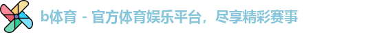 b体育公司
